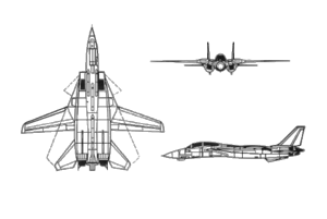 Orthographically projected diagram of the Grumman F-14 Tomcat.