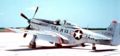 P-51 WV ANG.jpeg