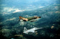 US F4 Phantom and Norwegian F5 Freedom Fighter.jpg