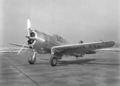 Curtiss P-36 Hawk.jpg